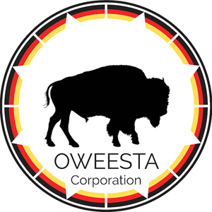 A buffalo is the emblem for Oweesta. This one is silhouetted.