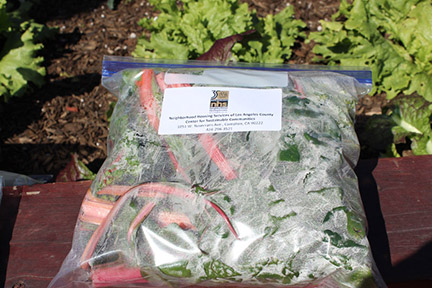 A bag of vegetables from a community garden