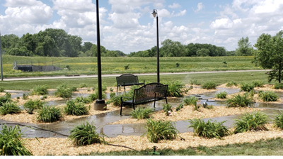 A pollinator garden is planted and ready. The plants, once they fill in, will bring bees and butterflies.