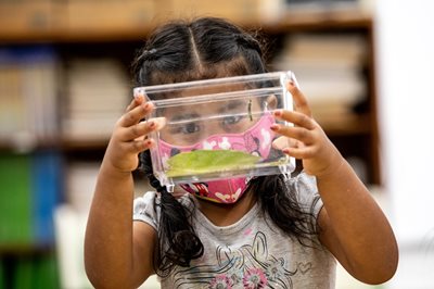 Another student studies a butterfly, holding a terrarium in front of her.