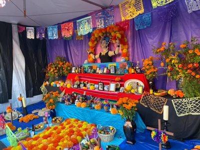 An alter, or ofrenda, shows photos of loved ones and bright, orange flowers, both made of paper and real marigolds.