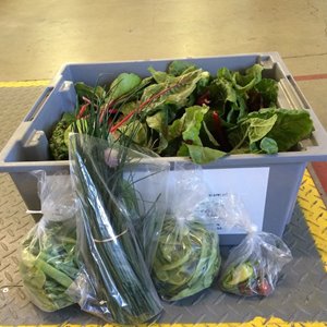 Leafy greens are a favorite. The photo shows lots of leafy greens with bags of snap peas and more.