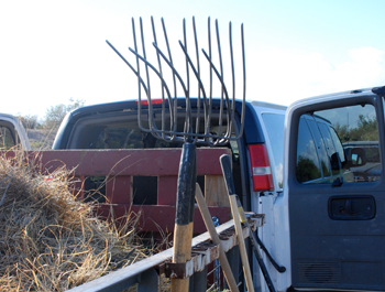 A white truck loaded with bales of hay and pitchforks